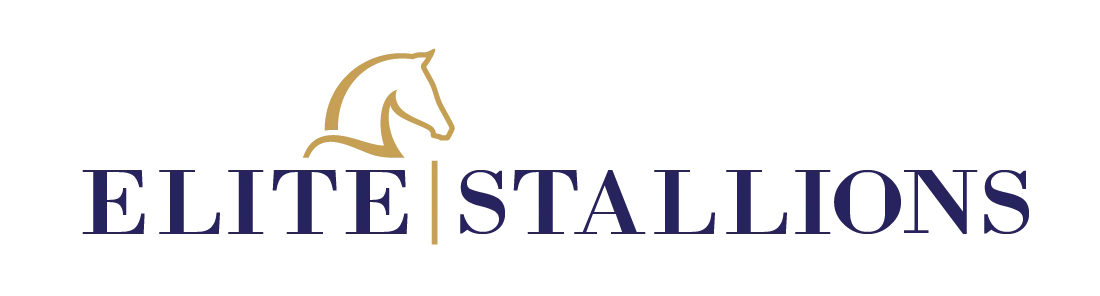 Elite Stallions
	Logo